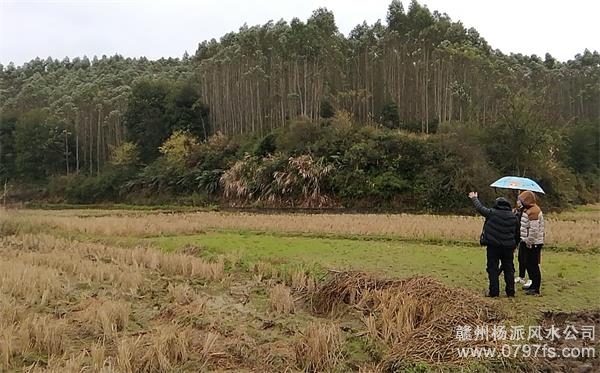 怀柔区陈老师带着爱徒寻龙点穴